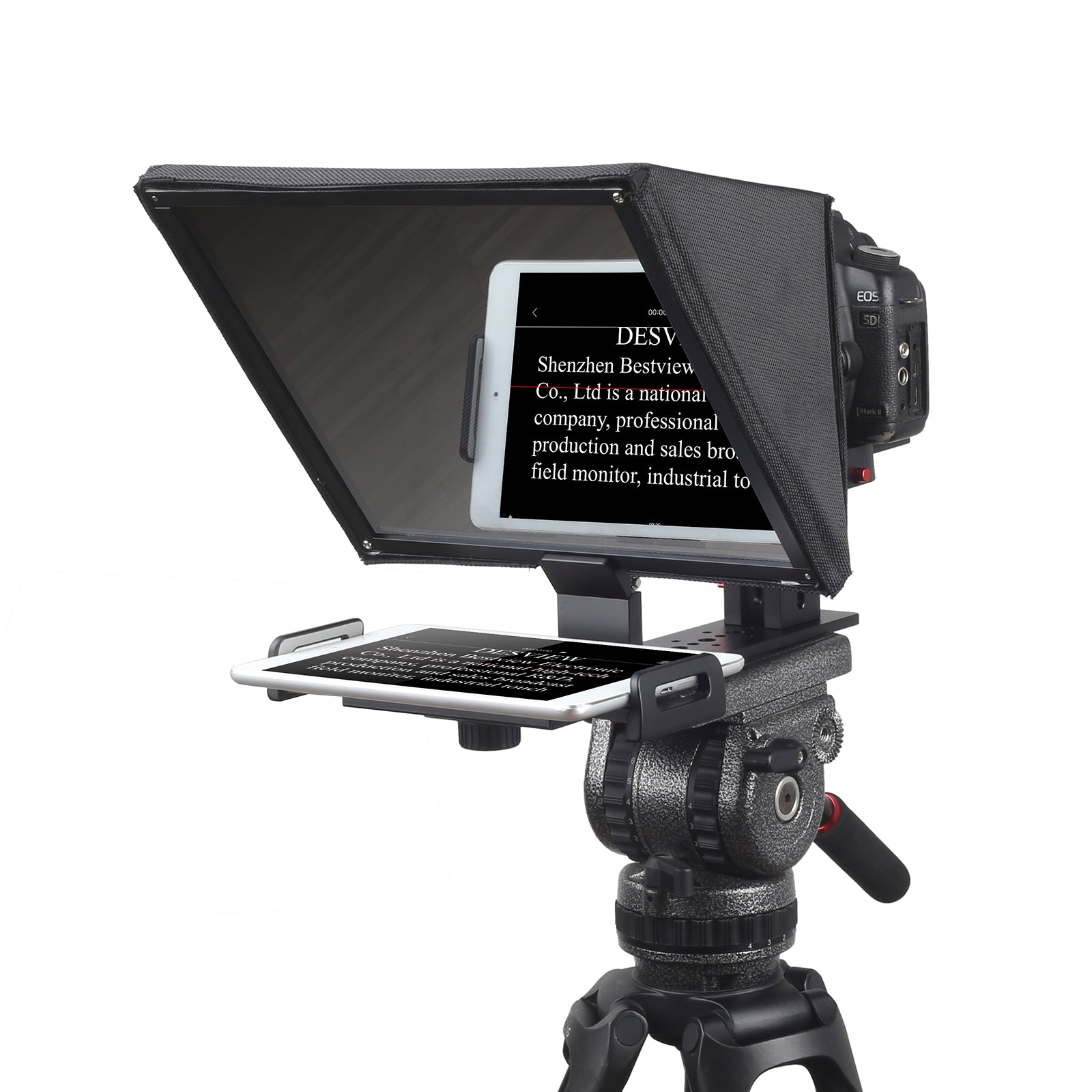 T12