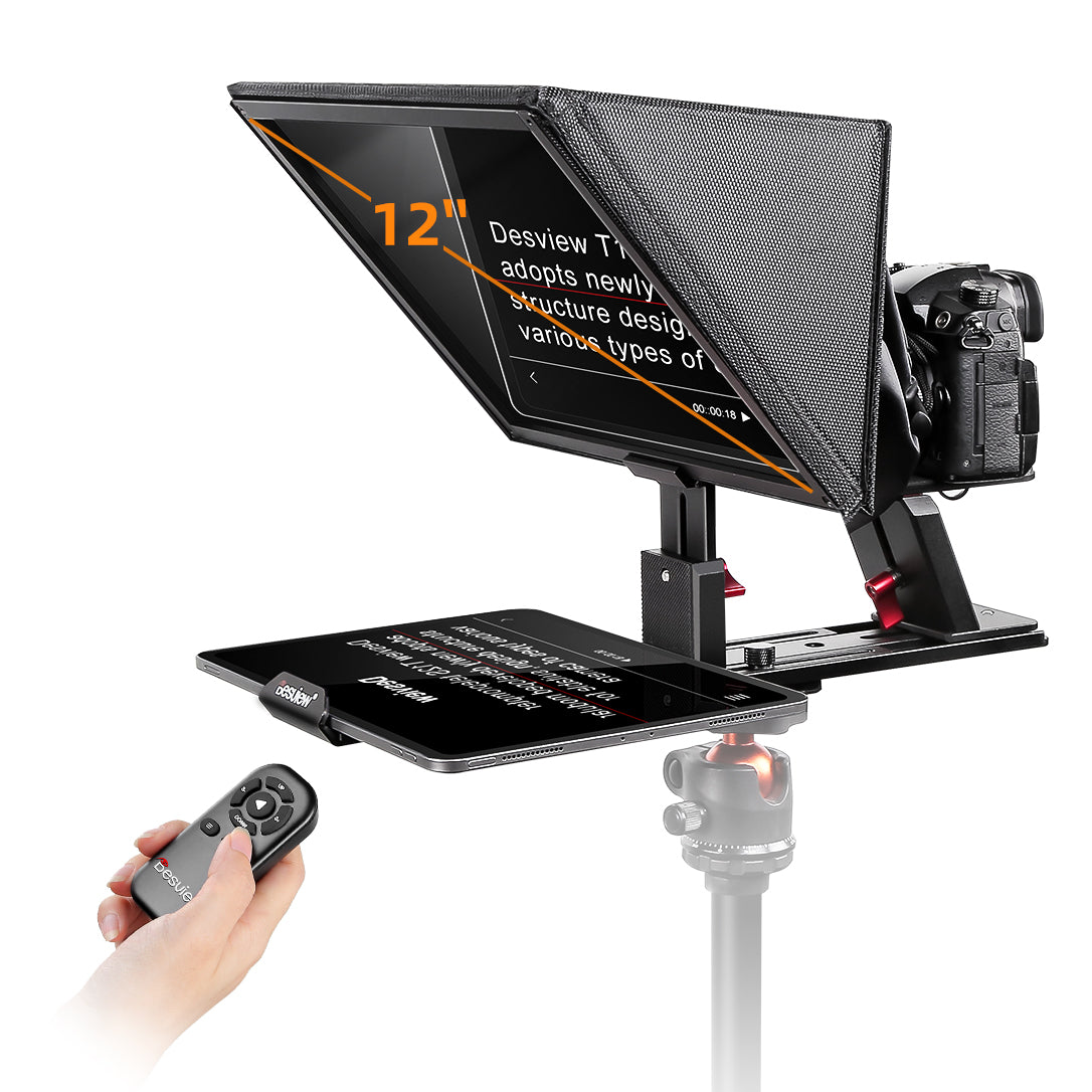T12S